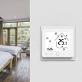 Терморегулятор з Wi-Fi керуванням Tervix Pro Line WiFi Thermostat | для водяного та електр. теплої підлоги з виносним датчиком 3000мм (114131)