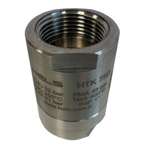 Термостатичний конденсатовідвідник HELS HTK-75D DN 20 | 3/4" | ΔP 21 бар