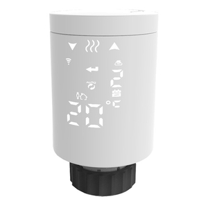 Электронная термоголовка Tervix ProLine EVA2 (228731)