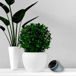 Інтернет-терморегулятор Salus IT800 WIFI (615151299)