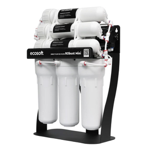 Фильтр обратного осмоса Ecosoft RObust Mini (ROBUST1000STD)