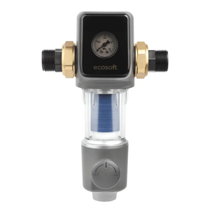 Дисковый фильтр механической очистки Ecosoft 1" (TXHES2)