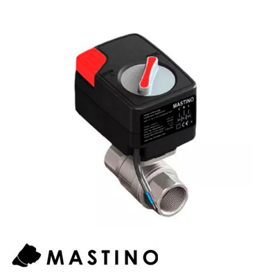 Кран шаровый с электроприводом Mastino 220В 1" (006307)