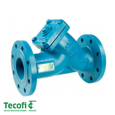 Tecofi TecStrain F4240B-EP ДУ 125 Фільтр сітчастий фланцевий PN16 (F4240B-EP0125)