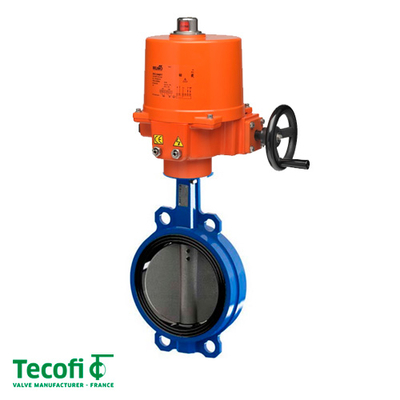 Засувка батерфляй Tecofi Tecfly VPG 4449-02 Dn300 Pn16 з електроприводом Belimo SY6-230-3-T