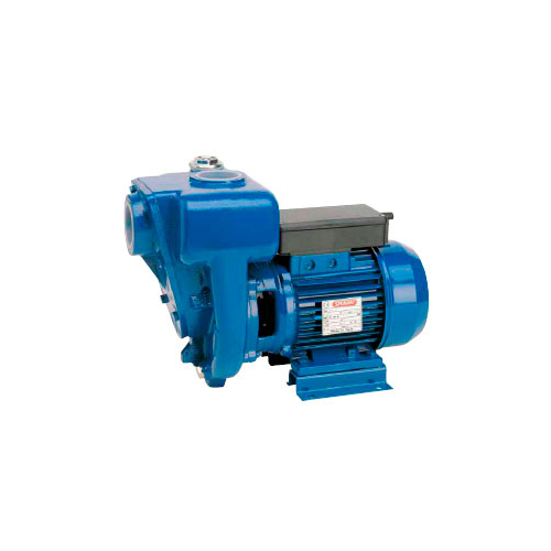 Насос поверхностный Speroni HG 80-2,2 (101242650)