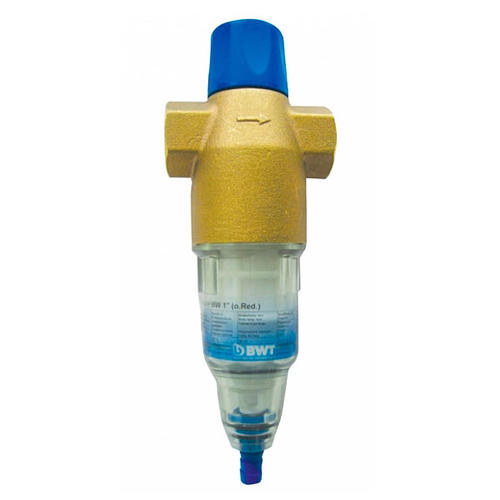 BWT Protector BW 1" Фільтр механічного очищення холодної води
