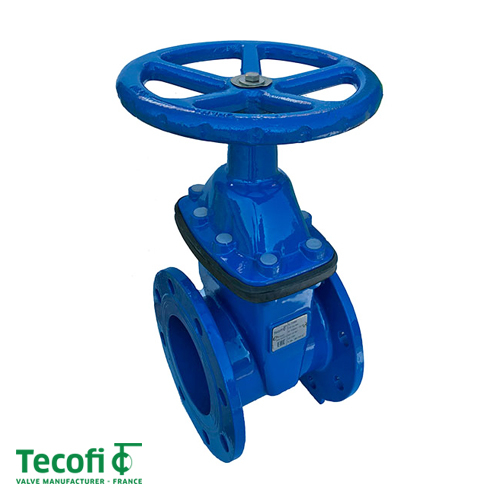 Засувка чавунна клинова Tecofi VOC4241C-00EP DN 40 PN 16