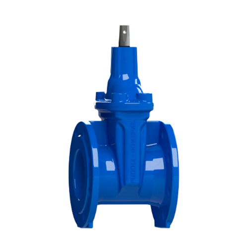 Засувка з гумовим клином Fucoli Somepal ДК 50 Ру 16