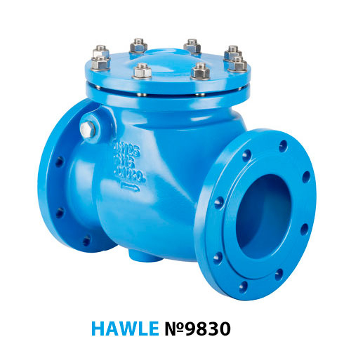 Клапан обратный поворотный Hawle 9830 ДУ 300 Ру 16