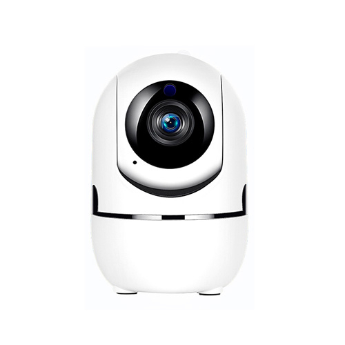 Панорамная видеокамера Tervix Pro Line Minion Cam WiFi 2P, внутренняя (471421)
