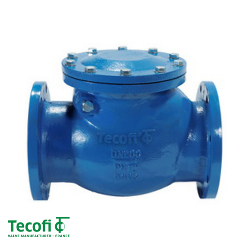 Клапан обратный чугунный фланцевый ДУ 200 Tecofi CB3240 | PN 16