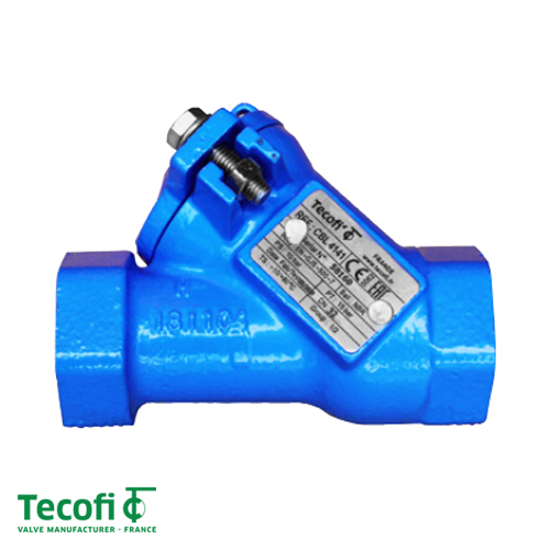 Клапан зворотний кульовий муфтовий Tecofi CBL4141 2" Ду 50