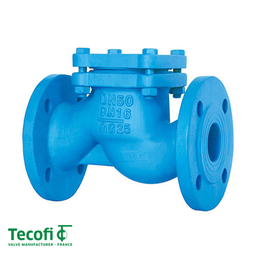 Клапан обратный подъемный фланцевый ДУ 80 Tecofi CS3240 | PN 16