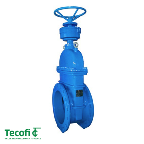 Засувка чавунна клинова Tecofi VOC4241C-08EP ДУ 600 | PN 16