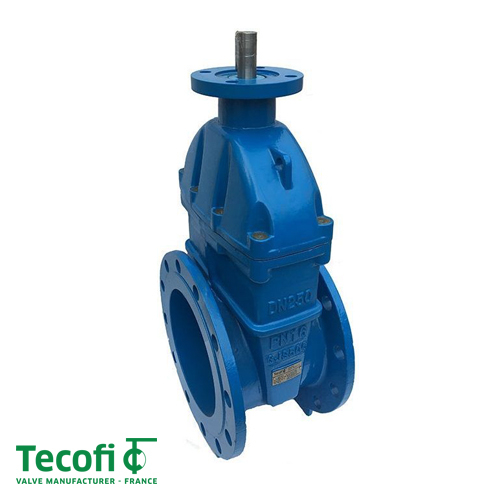 Засувка чавунна клинова Tecofi VOC4241CM-00EP ДУ 100 | PN 16