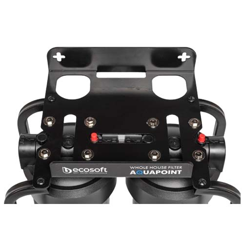 Фільтр на весь будинок Ecosoft AquaPoint (FPV24520SECOSTD)