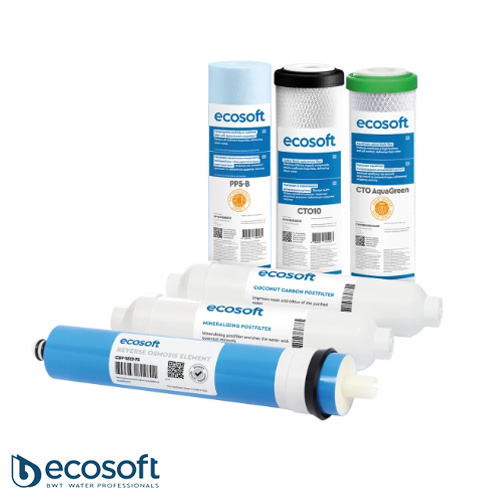 Комплект картриджів Ecosoft Absolute 12 місяців (CHV6ECOABS)